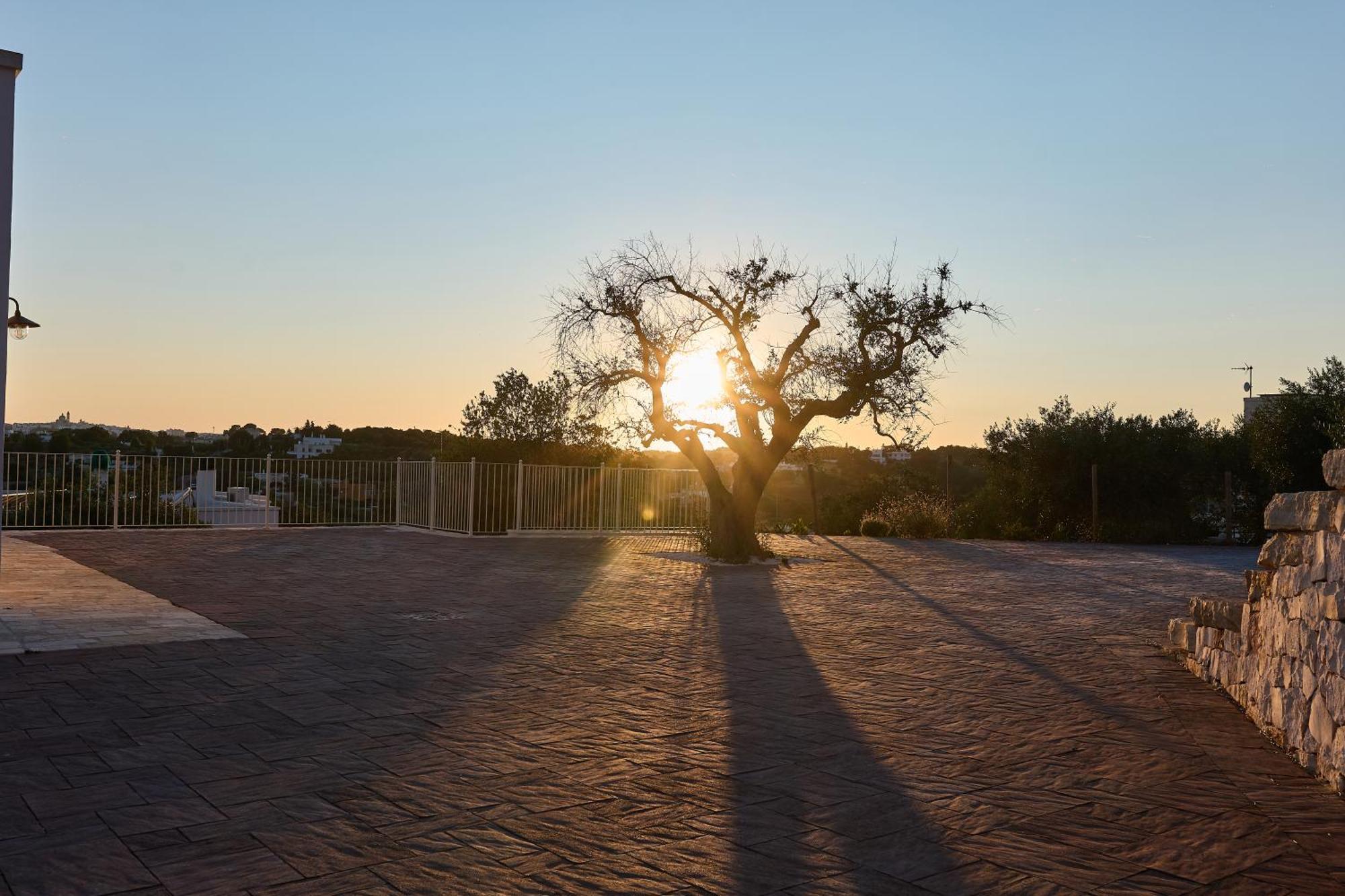 Trulli Mbs By Apulia Hospitality Leilighet Locorotondo Eksteriør bilde