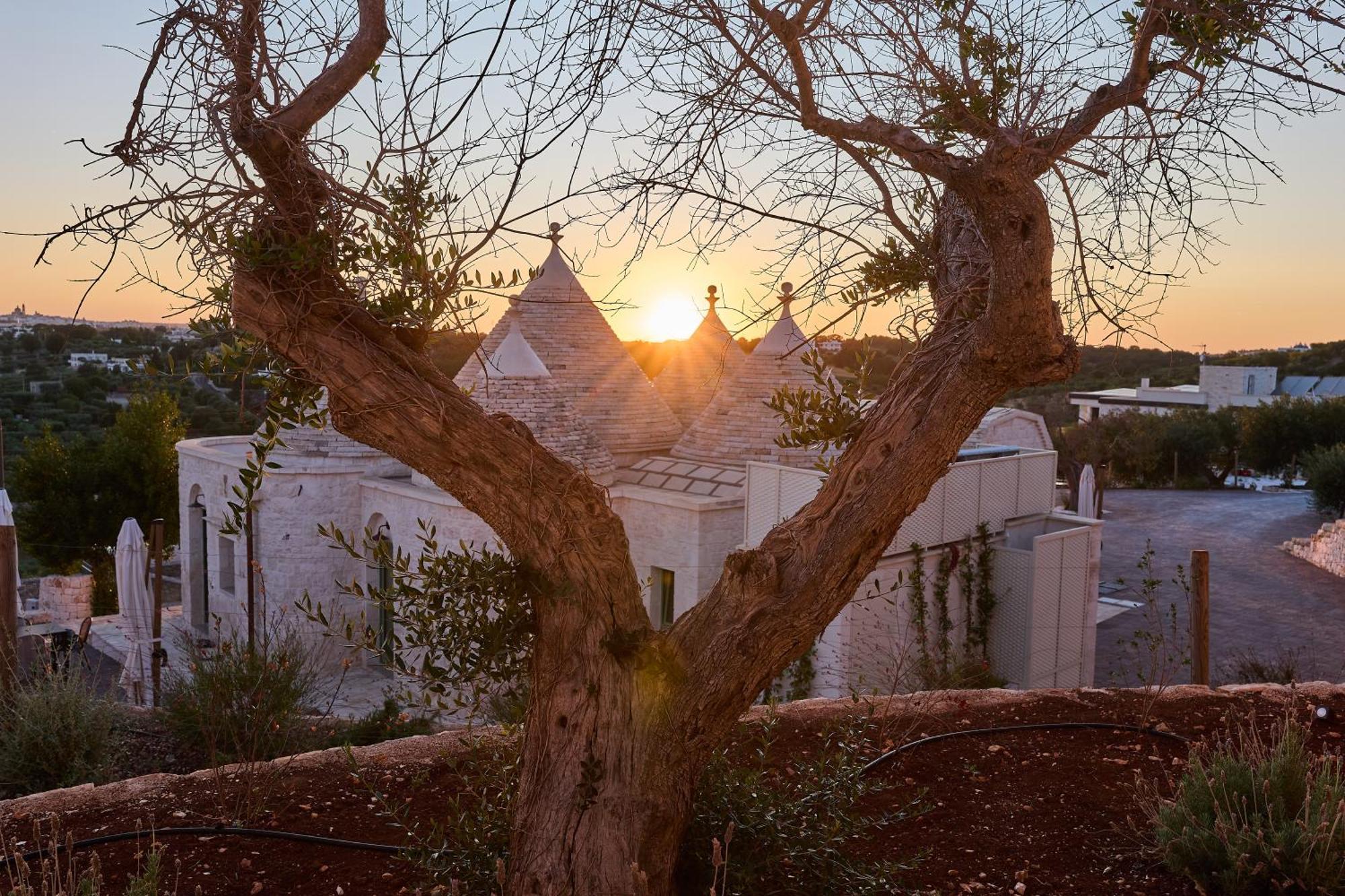 Trulli Mbs By Apulia Hospitality Leilighet Locorotondo Eksteriør bilde