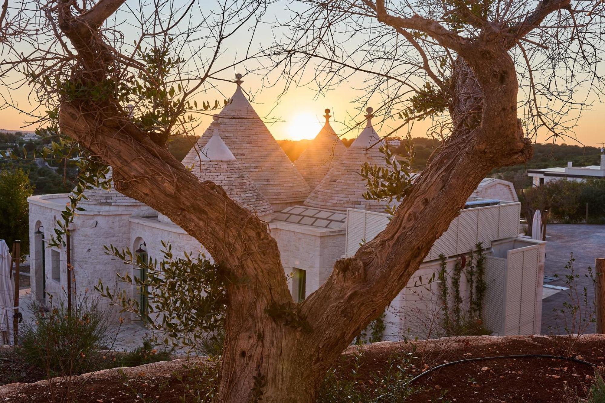 Trulli Mbs By Apulia Hospitality Leilighet Locorotondo Eksteriør bilde